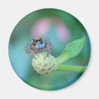 A Garden Friend!