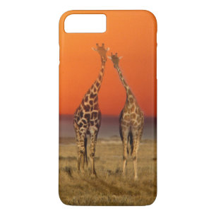 A Giraffe couple walks into the sunset, in Case-Mate iPhone Case
