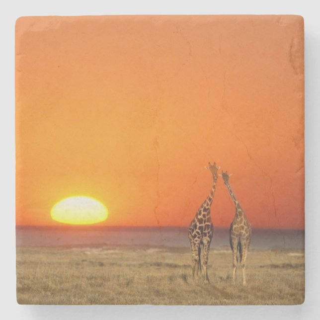 A Giraffe couple walks into the sunset, in Stone Coaster (Front)