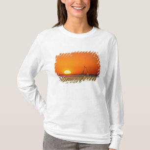 A Giraffe couple walks into the sunset, in T-Shirt