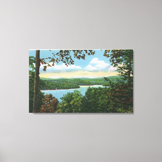 A Glimpse of Lake Garfield Canvas Print (Front)