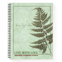 A Glimpse of the Wild: Acrorumohra hasseltii Fern