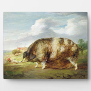A Gloucestershire Old Spot (oil on panel) Plaque