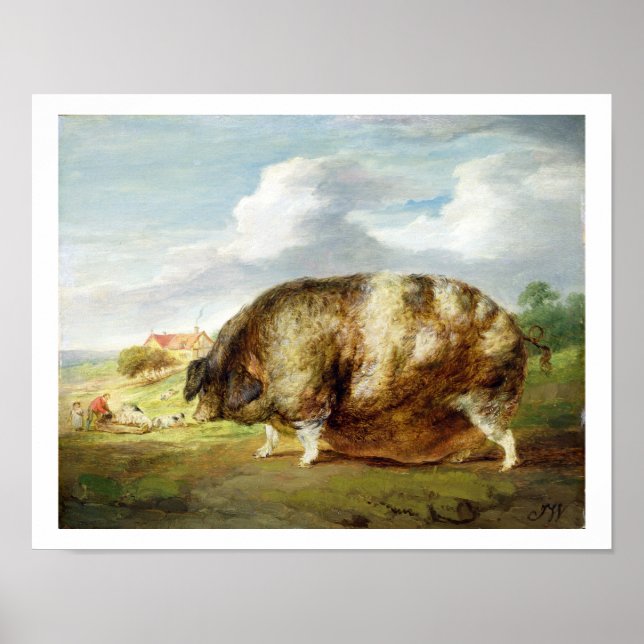 A Gloucestershire Old Spot (oil on panel) Poster (Front)