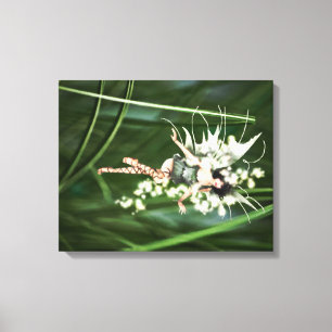 A Glow in the Garden Wrapped Canvas