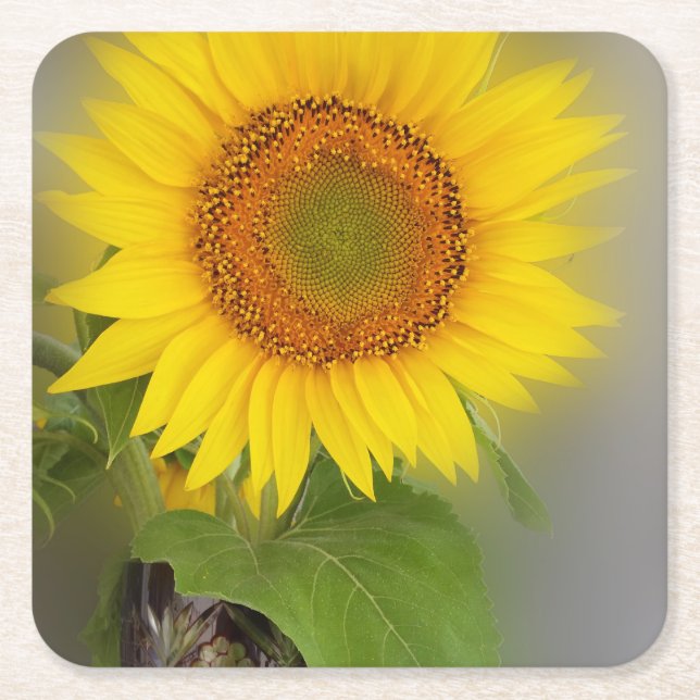 a glowing sunflower square paper coaster (Front)