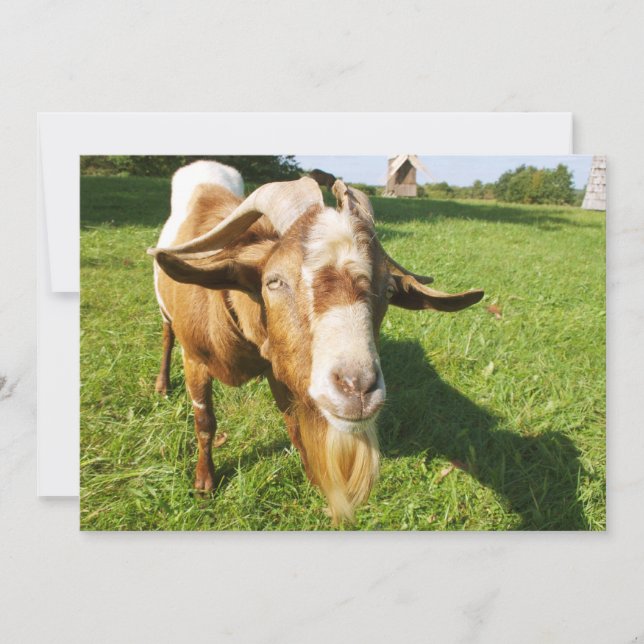 A goat - invitation (Front)