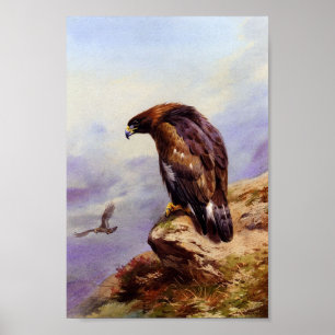 A Golden Eagle Poster