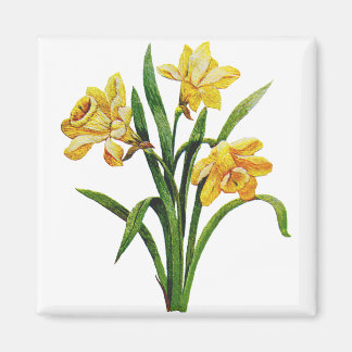 A Golden Host of Embroidered Daffodils Magnet