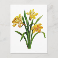 A Golden Host of Embroidered Daffodils