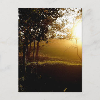 A Golden Moment Postcard