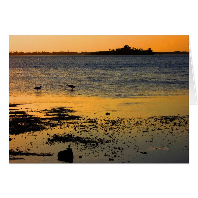 "A Golden Sunset" in Dunedin, Florida (Front Horizontal)