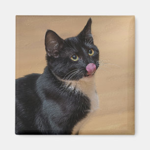 A Good Lick Painterly Magnet