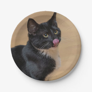 A Good Lick Painterly Paper Plate