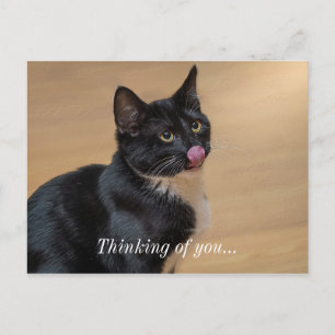 A Good Lick Painterly Thinking Of You Postcard