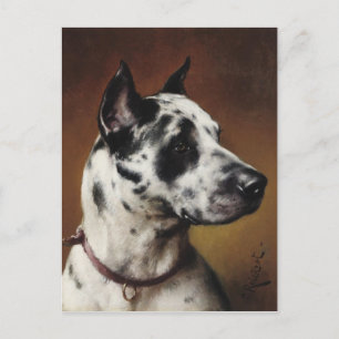 A Great Dane Postcard