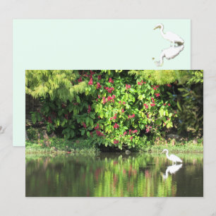 A Great Egret Fishing in the Swamp Holiday Card