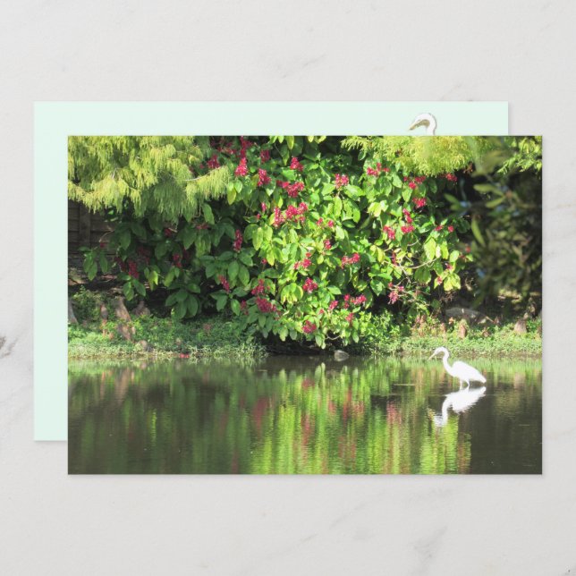  A Great Egret Fishing in the Swamp Holiday Card (Front/Back)