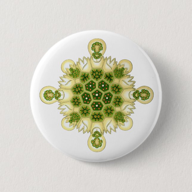 A Green Algae 6 Cm Round Badge (Front)