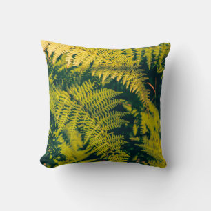A green fern plants background with shadows. abstr cushion