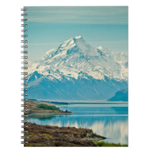 A green fern plants background with shadows. abstr notebook