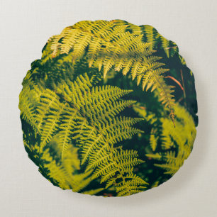 A green fern plants background with shadows. abstr round cushion