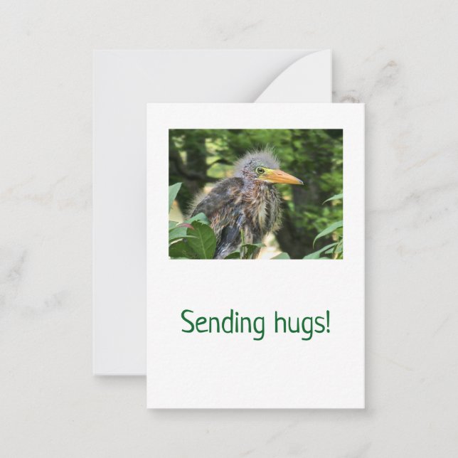 A green heron card (Front)