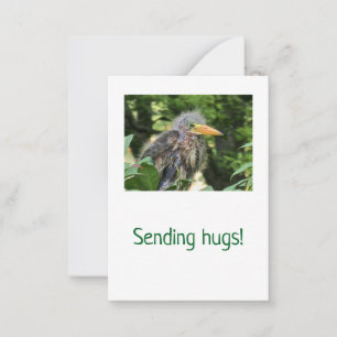 A green heron card