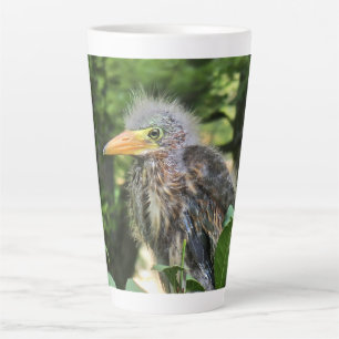 A green heron latte mug