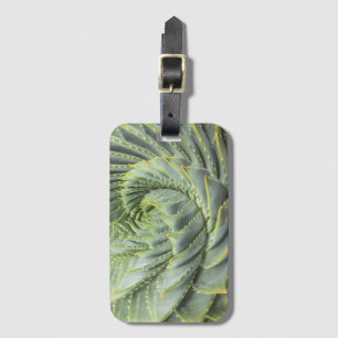A Green & White Succulent Luggage Tag