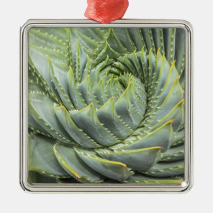 A Green & White Succulent Metal Tree Decoration