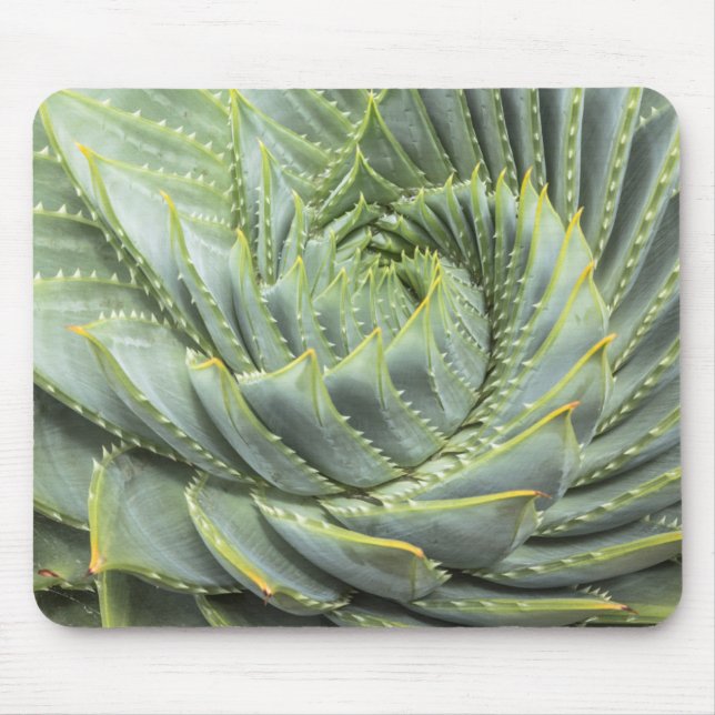 A Green & White Succulent Mouse Pad (Front)