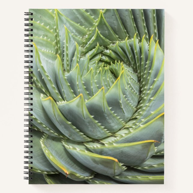 A Green & White Succulent Notebook (Front)