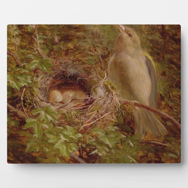 A Greenfinch at its Nest, 1877 (oil on panel) Plaque (Front)