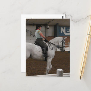 A Grey Dressage Horse Postcard