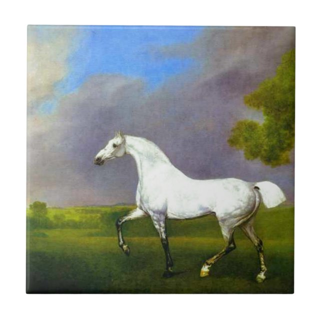 A Grey Horse by George Stubbs Tile (Front)