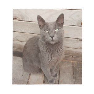 A Grey Noble Cat Notepad
