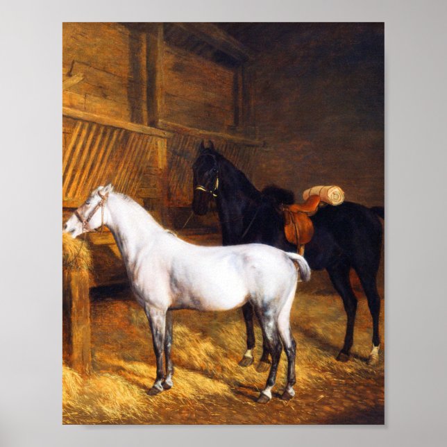 A Grey Pony and a Black horse in a Stable   Poster (Front)