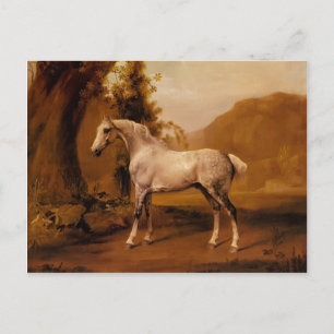 A Grey Stallion In A Landscape by George Stubbs Postcard