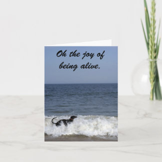 A greyhound enjoying the surf . card