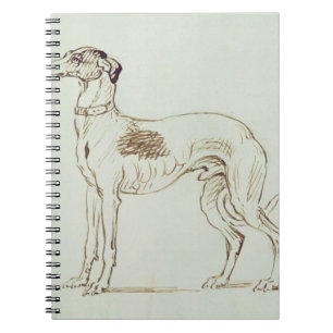 A Greyhound, Facing Left (pen & ink on paper) Spiral Notebook