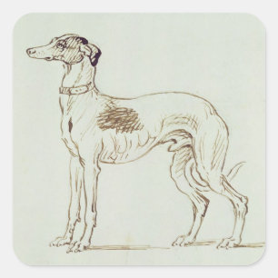 A Greyhound, Facing Left (pen & ink on paper) Square Sticker