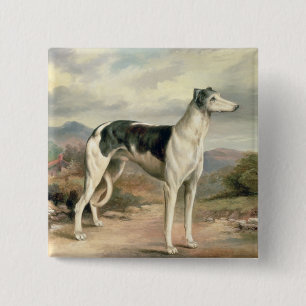 A Greyhound in a hilly landscape 15 Cm Square Badge