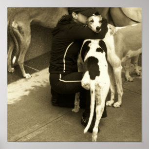 a greyhound with three bequest poster
