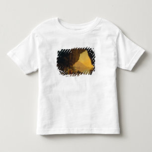 A Grotto in the Kingdom of Naples Toddler T-Shirt