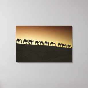 A group of camel herders with their camels canvas print