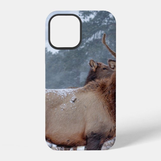 A GROUP OF DEERS iPhone CASE (Back)