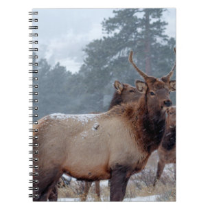 A GROUP OF DEERS NOTEBOOK