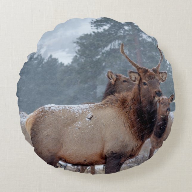 A GROUP OF DEERS ROUND CUSHION (Front)