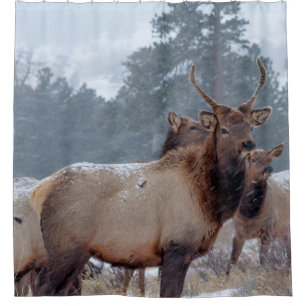 A GROUP OF DEERS SHOWER CURTAIN